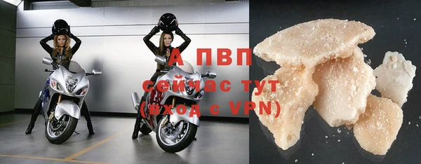 шишки Апатиты