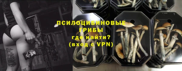 дурь Анива