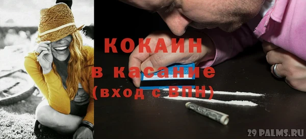шишки Апатиты