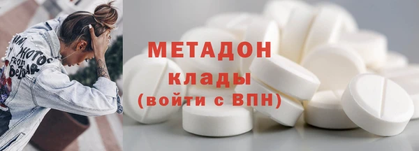 шишки Апатиты