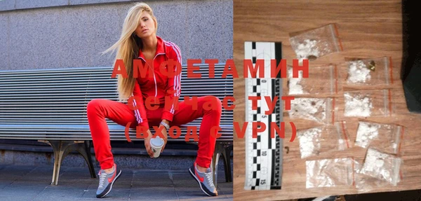 шишки Апатиты