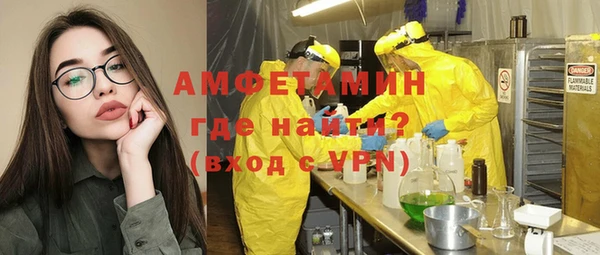 шишки Апатиты