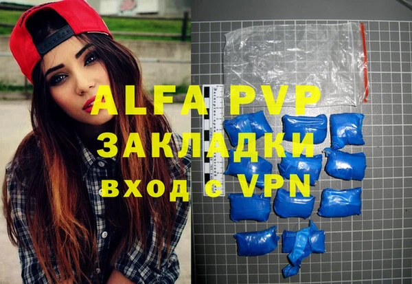 шишки Апатиты