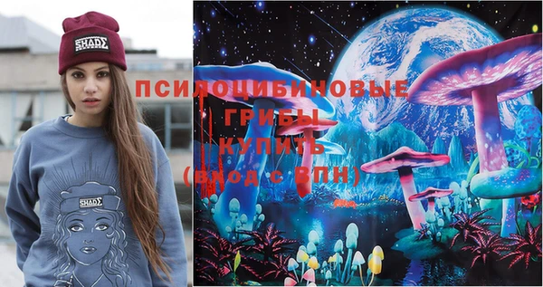винт Щигры
