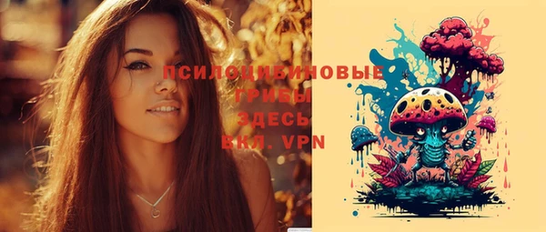 дурь Анива