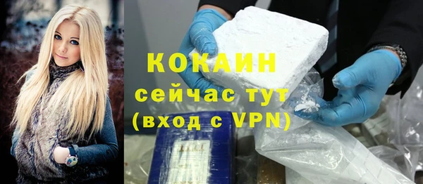 шишки Апатиты