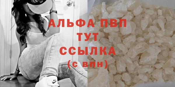 шишки Апатиты