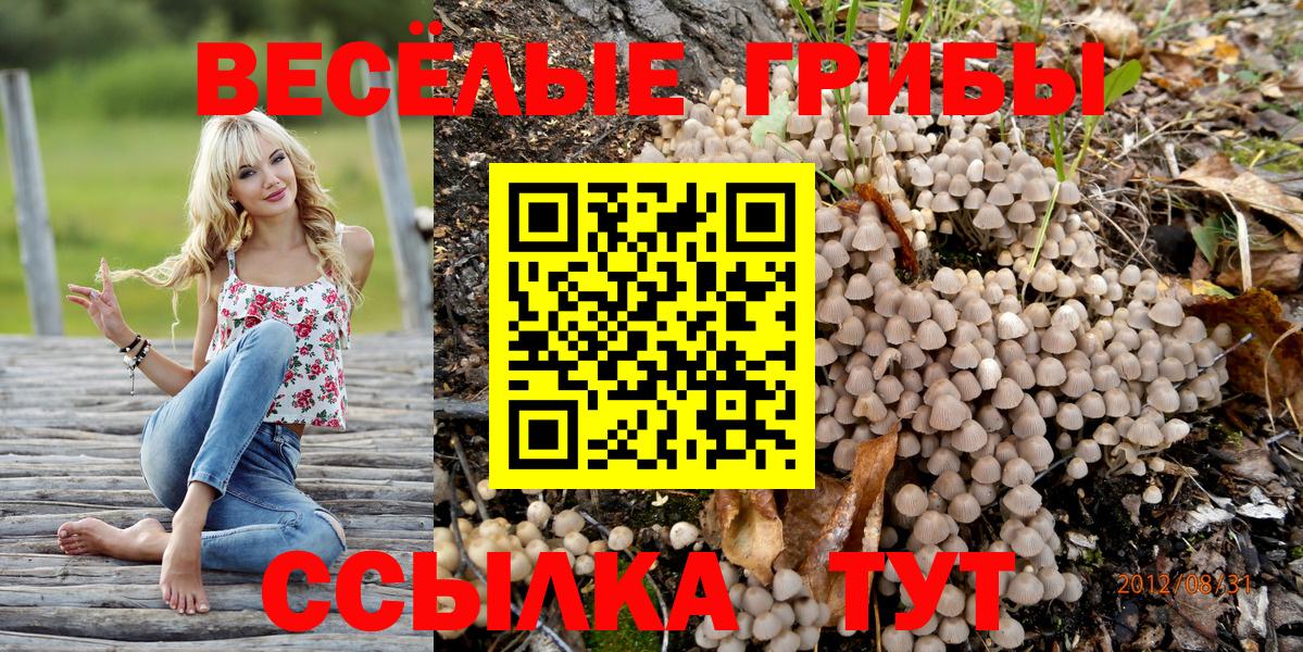 Псилоцибиновые грибы Cubensis Бирск