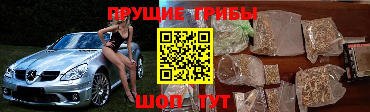 Галлюциногенные грибы Psilocybe  Бирск 